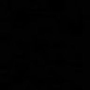 Meet your Posher, N y e